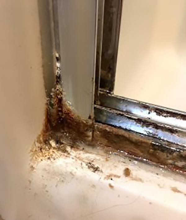 两个简单的方法，能清洁淋浴间还不用花钱，很多家庭都能用的上