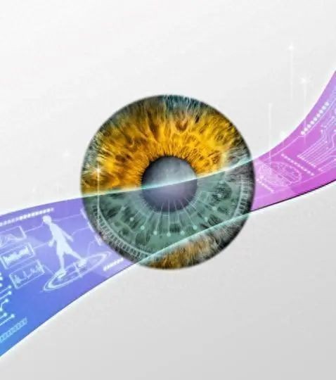本项研究成果示意图。顾磊磊 供图