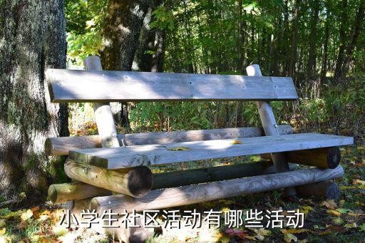 小学生社区活动有哪些活动