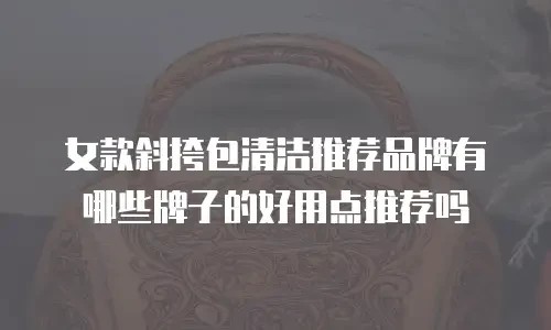 女款斜挎包清洁推荐品牌有哪些牌子的好用点推荐吗