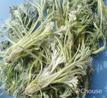 茵陈的功效与作用