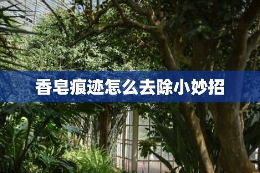 香皂痕迹怎么去除小妙招