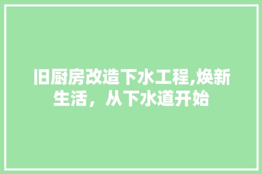 旧厨房改造下水工程,焕新生活，从下水道开始