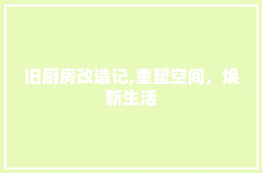 旧厨房改造记,重塑空间，焕新生活