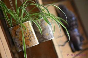 2、铁罐轻松变身小花盆 罐装的东西生活中很常见,你是不是用完就随手丢掉了?这就太可惜了,我们只要稍微动一下手就可成为花盘来栽种植物了,想更美观些,可以稍微花点时间改造下罐子外貌,同时 还可以钻孔,用绳子挂在墙上会更好。
