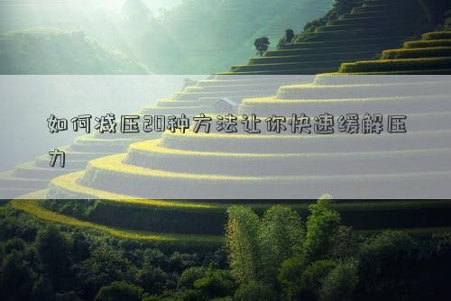 如何减压20种方法让你快速缓解压力
