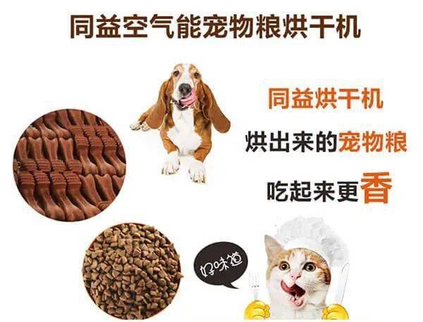 宠物家庭必学:高效空气消毒技巧,为爱宠打造清新家园