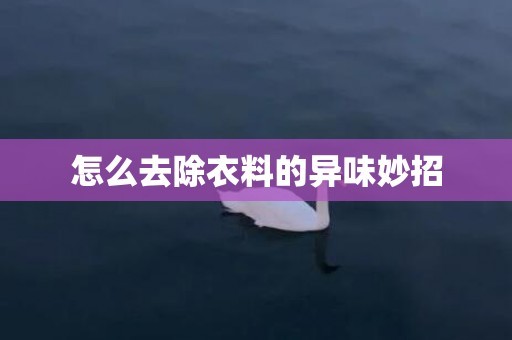 怎么去除衣料的异味妙招