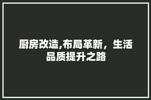 厨房改造,布局革新，生活品质提升之路