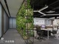 办公室装饰植物搭配攻略