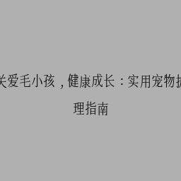 关爱毛小孩，健康成长：实用宠物护理指南