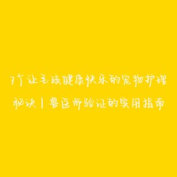 7个让毛孩健康快乐的宠物护理秘诀｜兽医师验证的实用指南