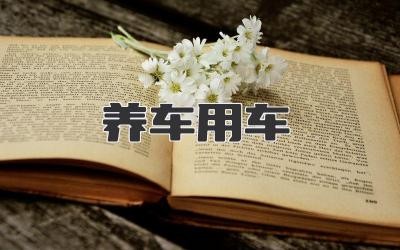 养车用车