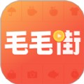 毛毛街购物