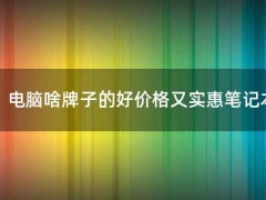 电脑啥牌子的好价格又实惠笔记本（电脑牌子推荐笔记本）