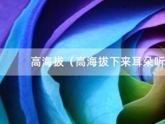 高海拔（高海拔下来耳朵听不清怎么快速恢复）