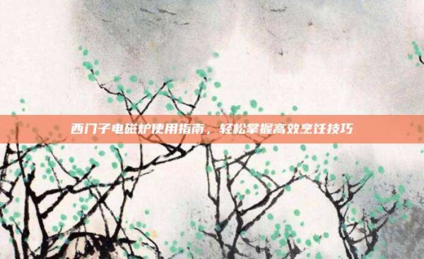 西门子电磁炉使用指南,轻松掌握高效烹饪技巧