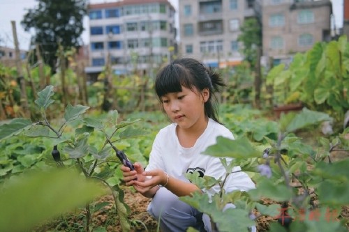 多彩劳动作业点亮假期生活