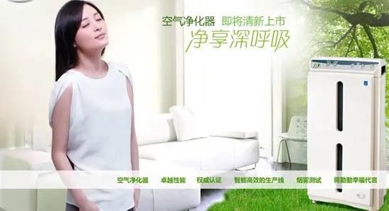 缔造绿色家居空间 空气净化器走俏市场