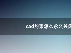cad约束怎么永久关闭（cad2014约束）
