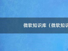 微软知识库（微软知识库相关术语）