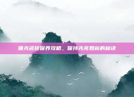 哑光瓷砖保养攻略,保持光亮如新的秘诀
