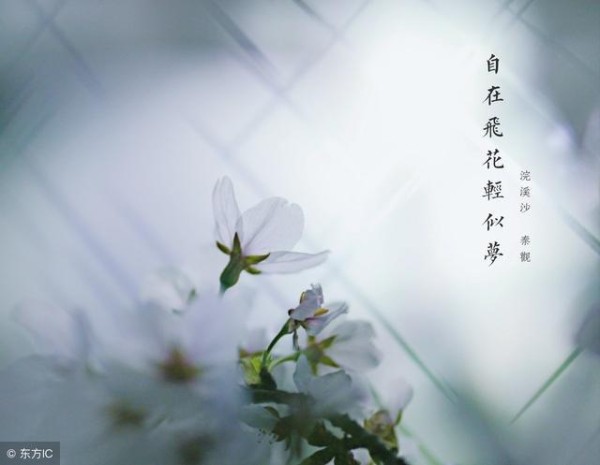 人生最大的满足，是来自内心的丰盈