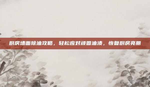 厨房墙面除油攻略,轻松应对顽固油渍,恢复厨房亮丽