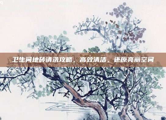 卫生间地砖清洗攻略,高效清洁,还原亮丽空间