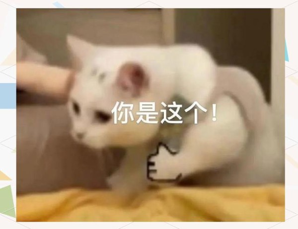 电动车便捷与安全：挑战与建议-有驾