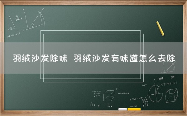 羽绒沙发除味 羽绒沙发有味道怎么去除(图1)