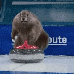 1.9.gif