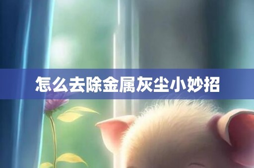 怎么去除金属灰尘小妙招