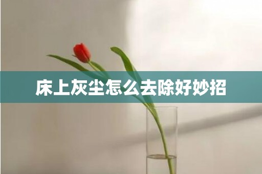 床上灰尘怎么去除好妙招