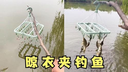 你见过用晾衣夹钓鱼吗？