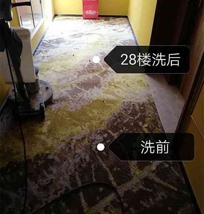 地毯清洗