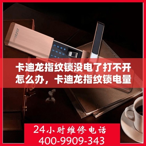 卡迪龙指纹锁没电了打不开怎么办，卡迪龙指纹锁电量耗尽应急开锁指南