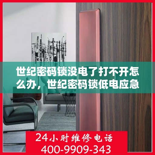 世纪密码锁没电了打不开怎么办，世纪密码锁低电应急指南，解决锁具无法开启的困扰