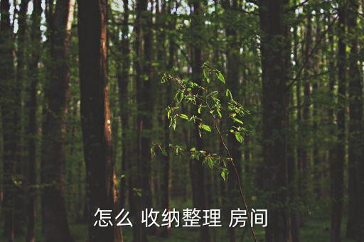 怎么 收纳整理 房间