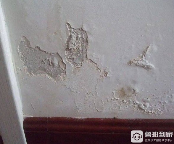 家居维修，卫生间墙面返潮怎么办