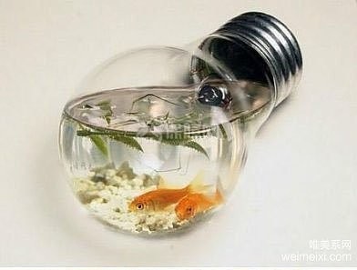 创意灯泡