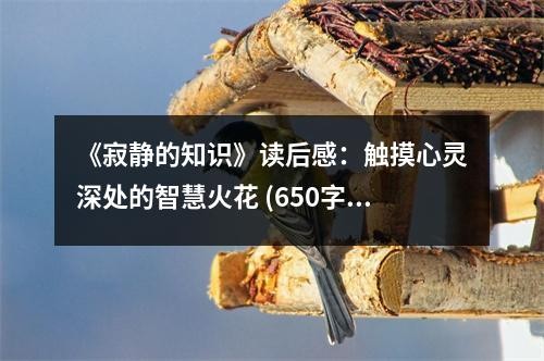 《寂静的知识》读后感：触摸心灵深处的智慧火花 (650字)