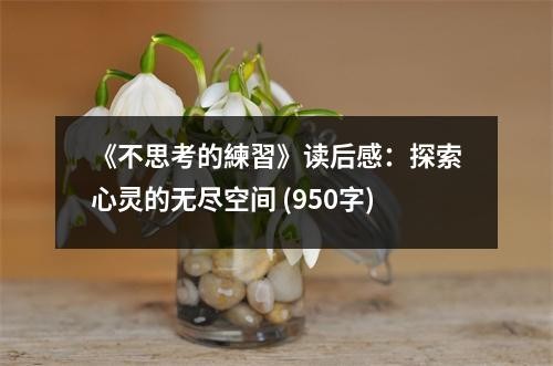 《不思考的練習》读后感：探索心灵的无尽空间 (950字)