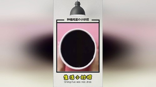 这么多年我才知道鸡蛋是这么来得