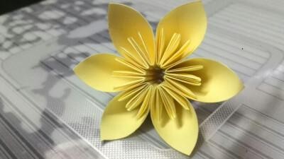 花朵型折纸 手工折纸大全-蒲城教育文学网