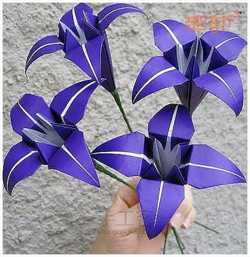 折纸百合花教案格式教授学生百合花的折纸教案三年级百合花折纸