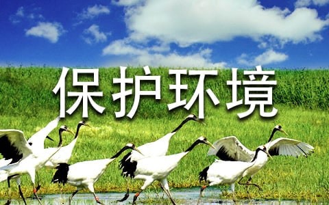 保护环境建议书[通用]