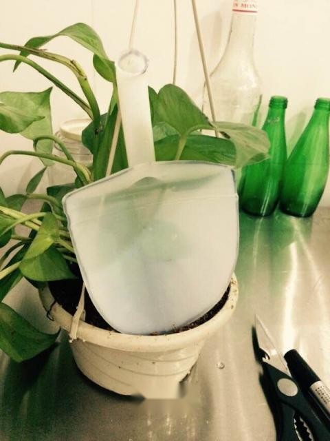 种花小铲子 第5张