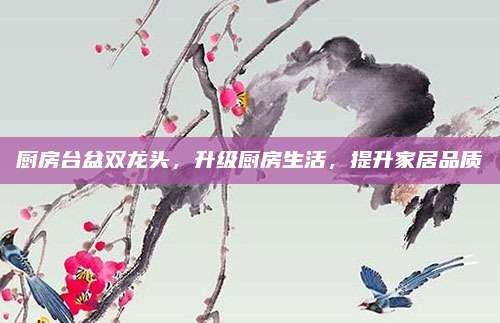 厨房台盆双龙头,升级厨房生活,提升家居品质