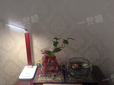 台灯2.jpg!710